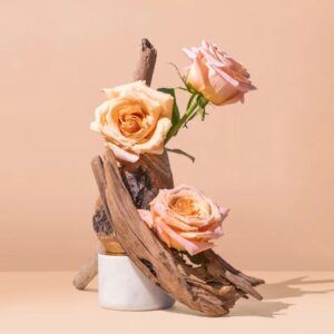 Rose Oud