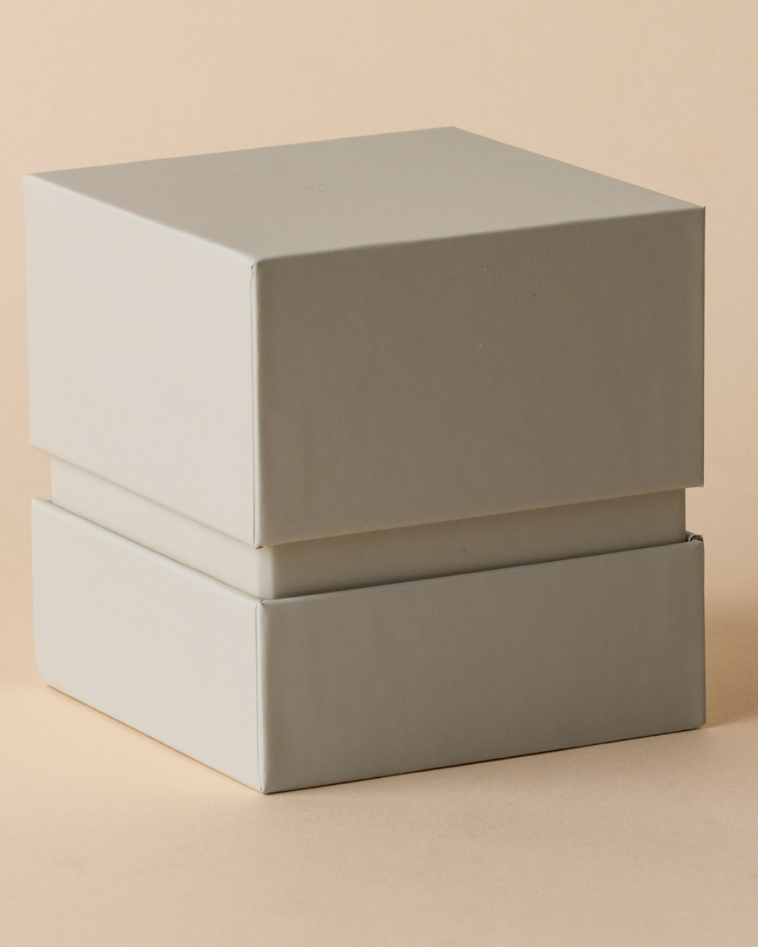 Extra Large Smart Box – Beige