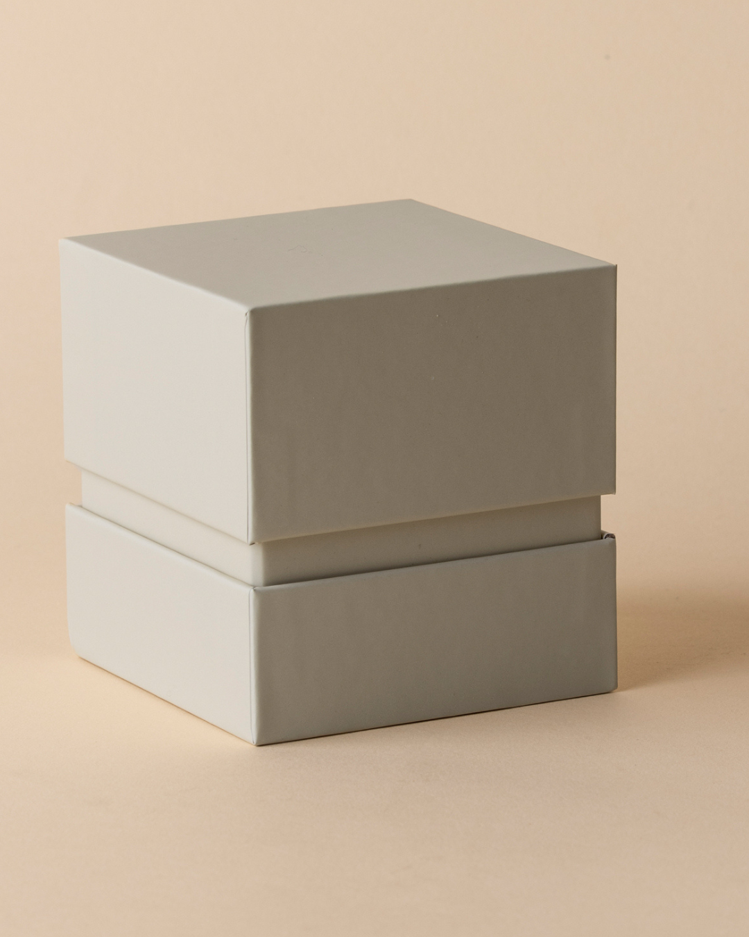Large Smart Box – Beige